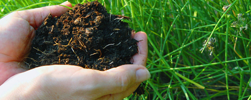 At Home Composting Guide