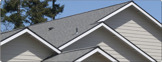 Roofing Costs: An In-Depth Breakdown