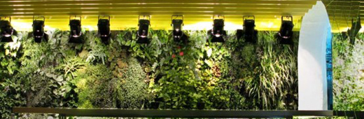 Indoor Gardening Tips and Trends