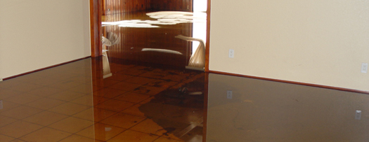 Flood Damage Restoration Basics