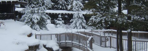 5 Fun Backyard Winter Landscaping Tips